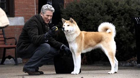 Hachiko A Dog's Story Music - FULL SONG (Movie Pictures) - YouTube