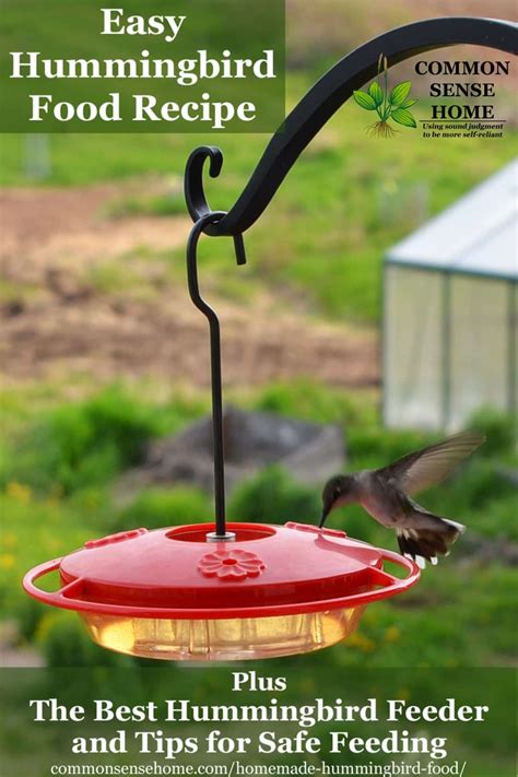 Homemade Hummingbird Food Recipe and the Best Feeder