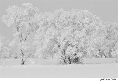 North Dakota Winter Photos, part I. | JOSH SISK