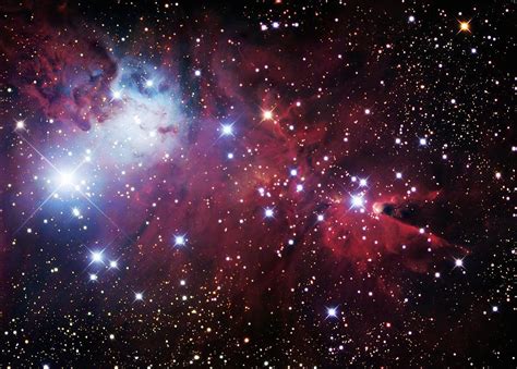 Christmas Tree Cluster (ngc 2264) Photograph by Robert Gendler/science Photo Library - Pixels