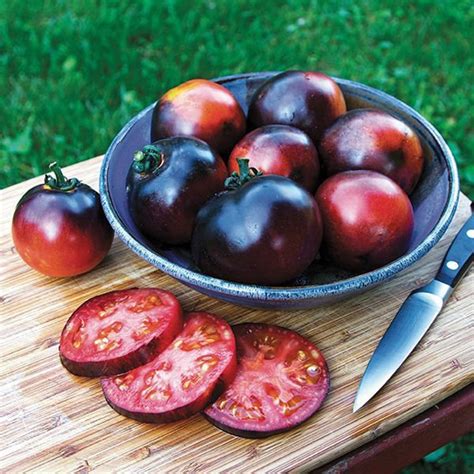 50 Organic American Blue Tomato Seeds Black Tomato Seeds | Etsy