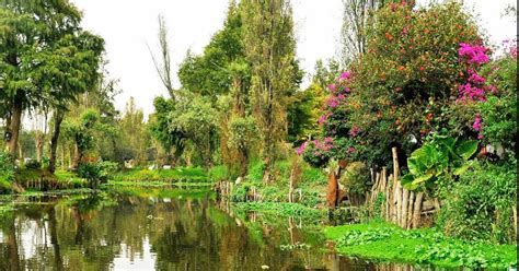 The Floating Gardens Of The Aztecs Are Still In Use Today