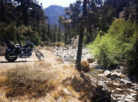 Riding and Camping in The Trinity Alps : camping