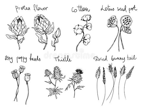 Set Line Art Flowers Stock Illustrations – 37,732 Set Line Art Flowers Stock Illustrations ...