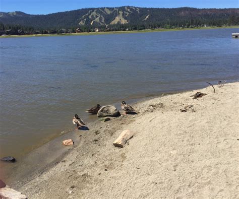 Conquering the Hiking Trails Near Big Bear Lake, California - Those Someday Goals