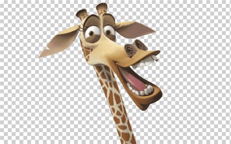 Melman jirafa Madagascar Dreamworks animación personaje, jirafa, melman ...