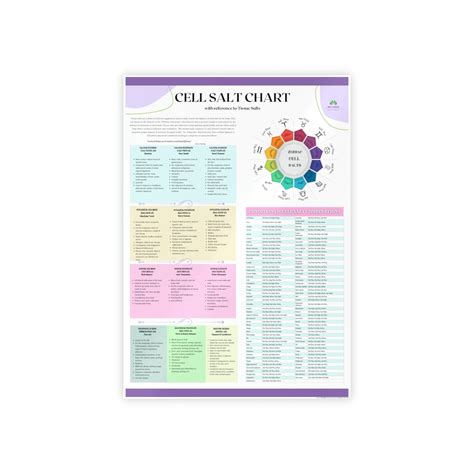 Cell Salt Tissue Salt Chart Poster - Etsy