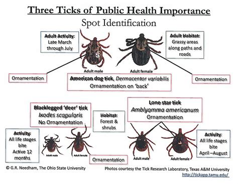 Ohio Tick | Research and outreach related to tick safety and disease information