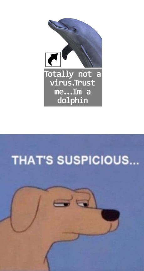 Suspicious Dog Meme