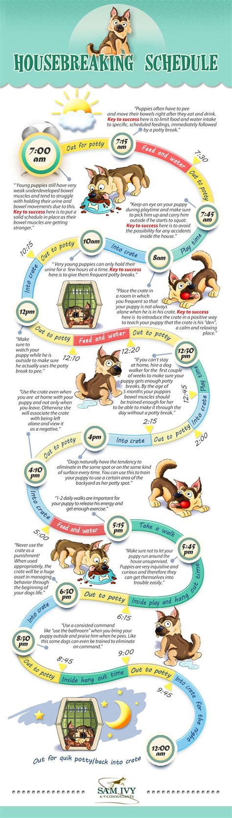 Free Printable Puppy Potty Training Schedule Chart