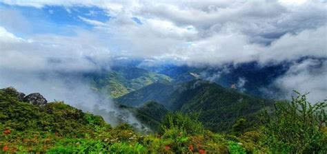 Wildlife in Bhutan - Trans-Bhutan Trail