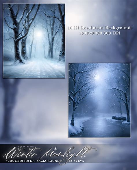 Winter Moonlight Backgrounds 2D Graphics Sveva