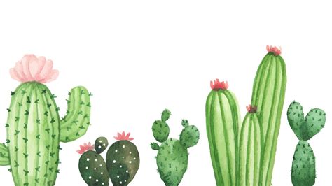 cactus wallpaper for computer Watercolor Desktop Wallpaper, Desktop ...