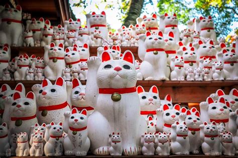 Gotokuji Temple - The UNIQUE Cat Shrine in Tokyo - Daily Travel Pill