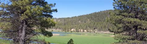 Tropic Reservoir, Utah - 13 Reviews, Map | AllTrails