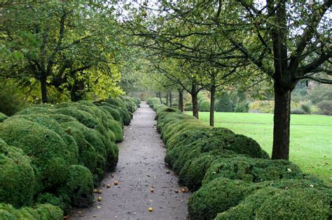 Out of the box: The Private Garden of Jacques Wirtz | Oxonian Gardener