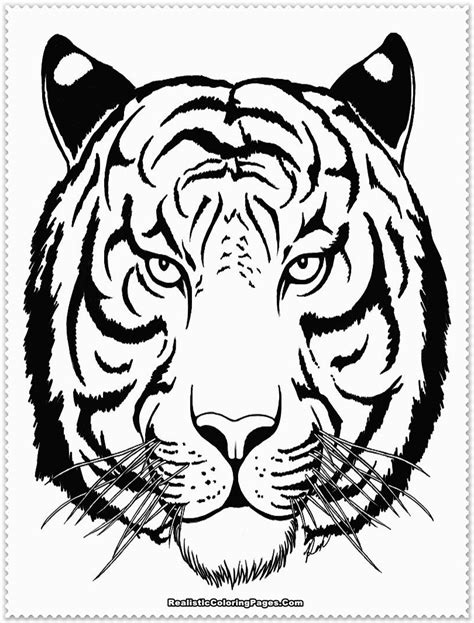 Realistic Tiger Coloring Pages | Realistic Coloring Pages