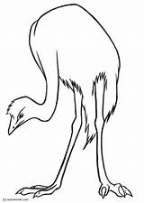 Emu Coloring Page At GetColoringscom  Free Printable Colorings Pages sketch template