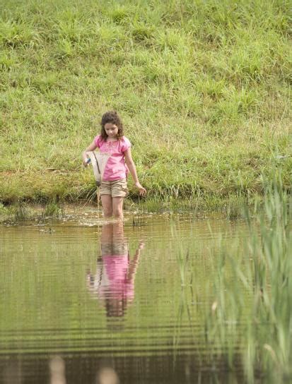 Free picture: child, wading, water, net