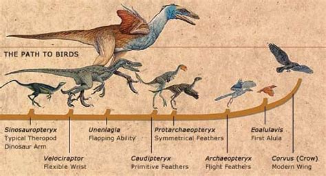 Did dinosaurs really become extinct 65 million years ago? | adefenceofthebible.com