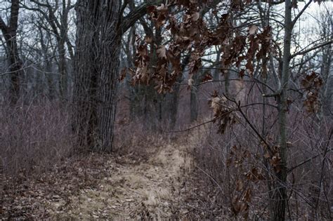 The Park Next Door - Stony Ridge Nature Trail