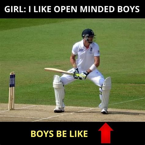 crickets meme - Cricket