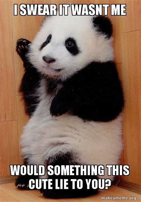 I SWEAR IT WASNT ME WOULD SOMETHING THIS CUTE LIE TO YOU? - IN THE CORNER PANDA | Make a Meme ...