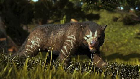 Ark Survival Ascended Thylacoleo taming guide