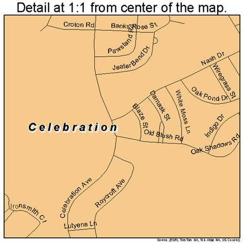 Celebration Florida Street Map 1211285