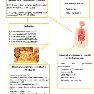 Methods of acrylamide reduction in bakery products. | Download ...