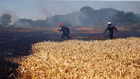 Small scale farmers from Klipgat, Boons plead for assistance after wildfires destroy farms ...