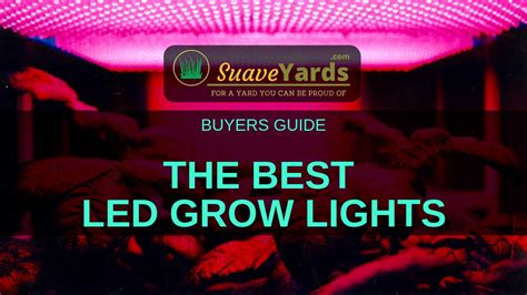 Best LED Grow Lights 2022 - The ULTIMATE Guide