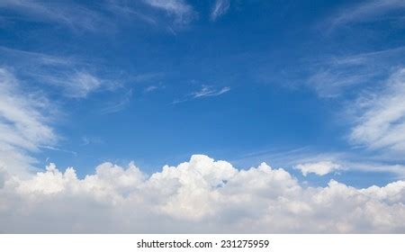 Perfect Carolina Blue Sky Stock Photo 11699557 | Shutterstock