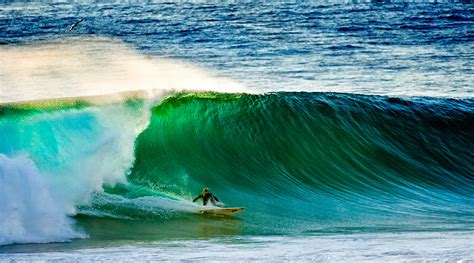 Spot Check: Black’s Beach San Diego Surf Guide [with HD Photos and Video]