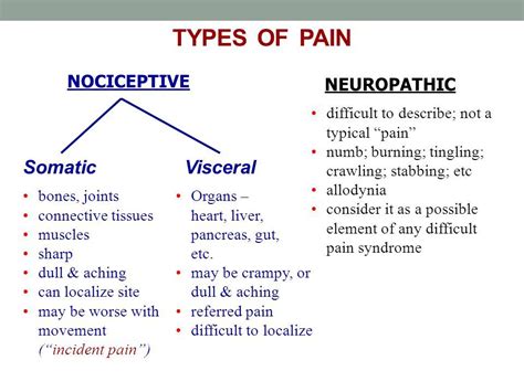 Examples of somatic nervous system - shelfdiki