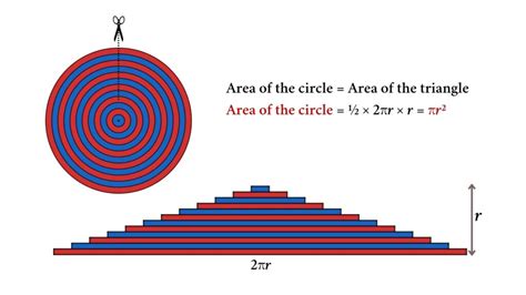 Area and Perimeter of the Circle: Formula and Derivations