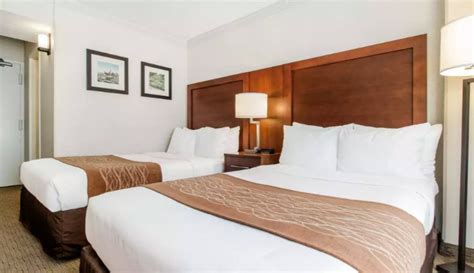 San Francisco Hotels Accommodations | Comfort Inn San Francisco near ...