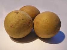 Herbs-Treat and Taste: WHAT IS CHIKOO OR CHICKOO? SAPODILLA: HEALTH BENEFITS, USES AND HISTORY ...