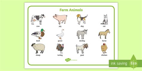 The Farm Interactive Labelling Activity - Twinkl