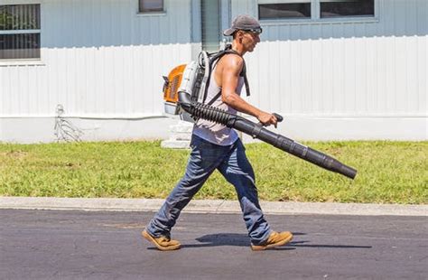 The Best Backpack Leaf Blower for 2021 – Reviews and Comparison ...