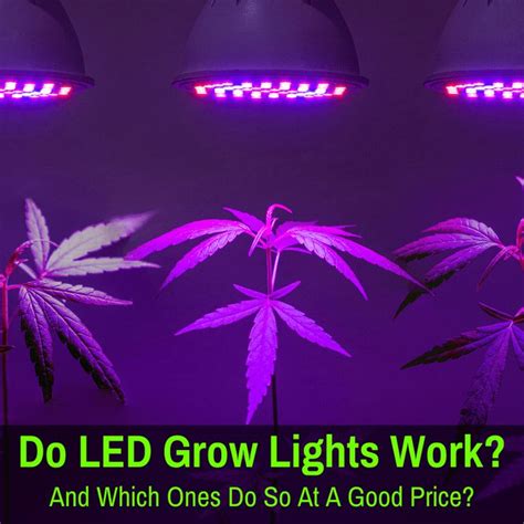 How Do LED Grow Lights Work? (And Which Work Best?) - Grow Light Info | Led grow lights, Grow ...