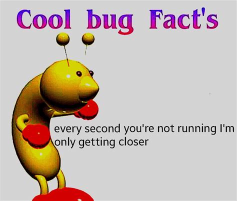 Cool Bug Fact! : r/CoolBugFacts