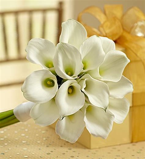 White Mini Calla Lily Bouquet - Nancy's Floral