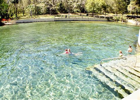 Salt Springs Swimming & Snorkeling - Jacksonville Beach Moms