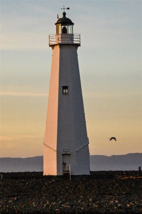 Nelson Lighthouse, New Zealand | Beautiful lighthouse, Lighthouse, New ...