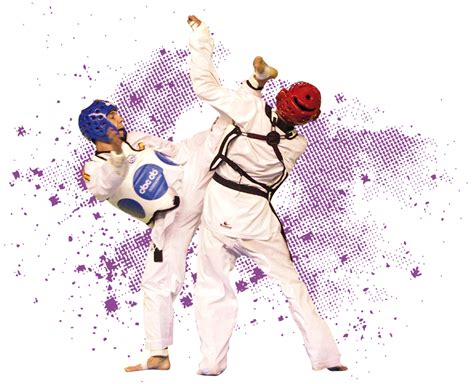 Taekwondo PNG Transparent Images, Pictures, Photos | PNG Arts