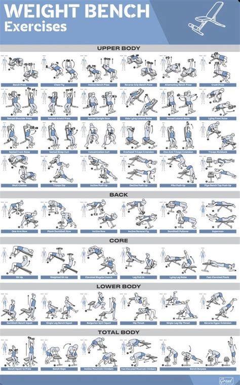 Weight bench workout poster | Bench workout, Full body workout routine, Workout posters