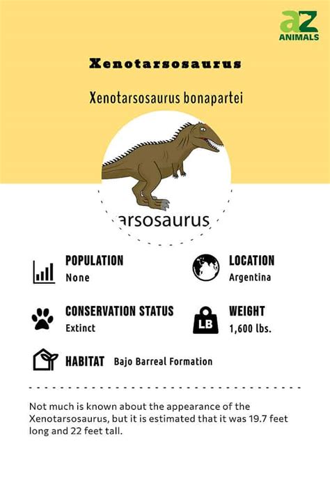 Xenotarsosaurus - A-Z Animals