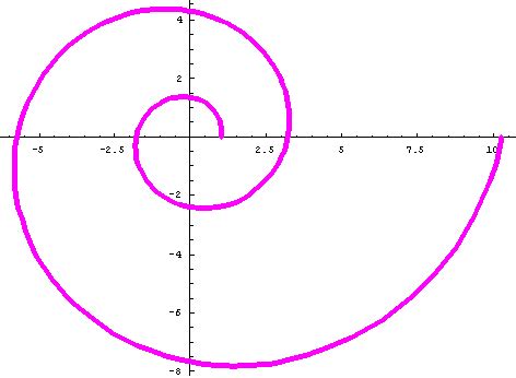 Nautilus Shell Fibonacci Sequence