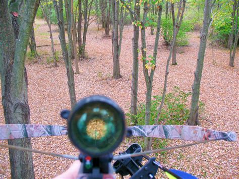 Best Crossbow For Deer Hunting: 10 Incredible Options For You